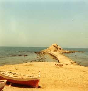 El Marsa en Juillet 1983