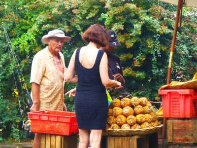 Philippe BANON
et Martine RODRIGUEZ
chez le marchand de bananes,
annanas et litchies ....