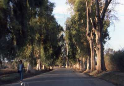 LAMARTINE
Route d'Oued Fodda