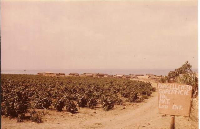 Photo prise depuis la route 
de Mostaganem vers 1965-67
au fond : les restes du regroupement