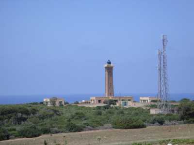 le Phare de colombi