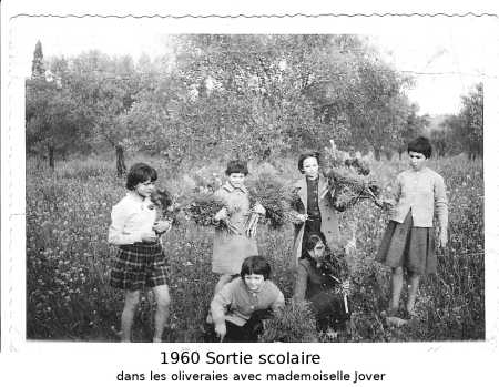 1960 - Sortie scolaire
dans les oliveraies
avec Mle JOVER