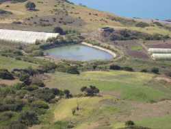 Bassin d'irrigation 
sur la route de Mostaganem 
(village de Dramla)