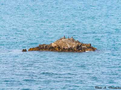 Le rocher de Reiche
en face des abattoirs