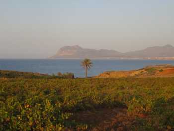 Cap Kala