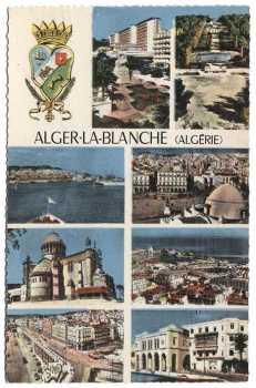 ALGER - Carte Postale