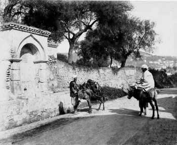 ALGER - Le Chemin de la Fontaine Bleue