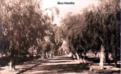 BOU-HANIFIA - Les THERMES