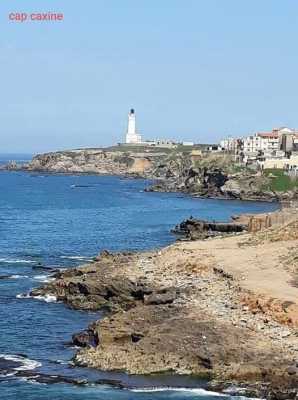 Le Phare du CAP CAXINE