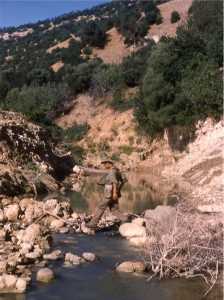 Harki ARRIS du commando de chasse du 1/12eme RAAMa traversant un oued