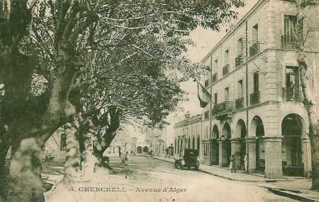 CHERCHELL - Avenue d ALGER
