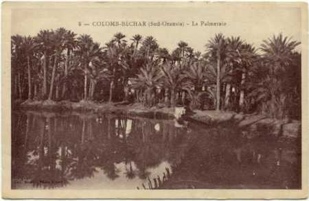 COLOMB-BECHAR - la Palmeraie