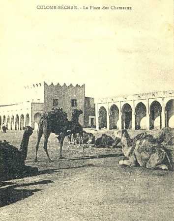 COLOMB-BECHAR
Place des chameaux