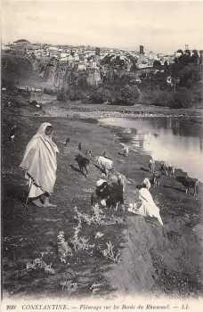 Constantine
Paturage sur les bords du Rhummel