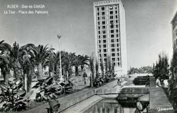 Alger - Diar el Saada
La Tour et la place des Palmiers