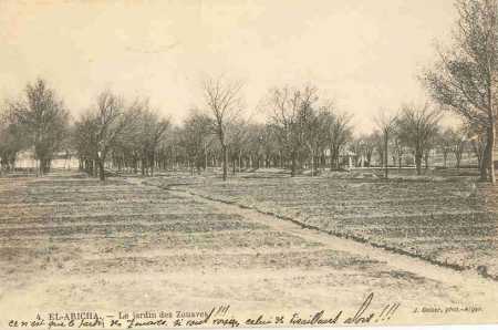 EL ARICHA - Le jardin des Zouaves