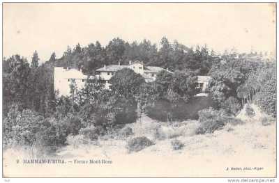 HAMMAM-RIGHA - La ferme Mont Rose