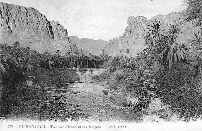 EL-KANTARA - Les Gorges et l'Oued