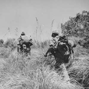 Progression dans de hautes herbes en juin 1959