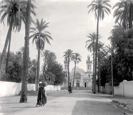 Les Palmiers de Laghouat