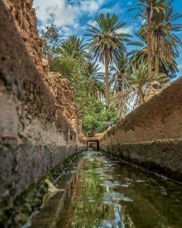 oasis de El Assafia - LaghouaT