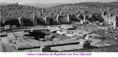 LETOURNEUX - Les Ruines Romaines de Rapidum