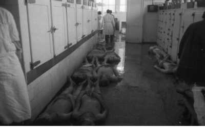 ALGER le 26 MARS 1962 
La Morgue de l'Hopital MUSTAPHA 
----
 Autre liste des Victimes 