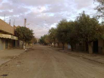 OUED-FODDA - une rue