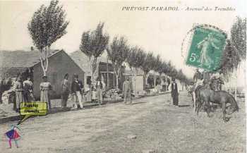 PREVOST-PARADOL - Avenue des Trembles