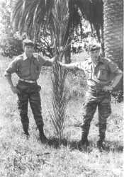 1962
La Palme. Domaine de Saoudi