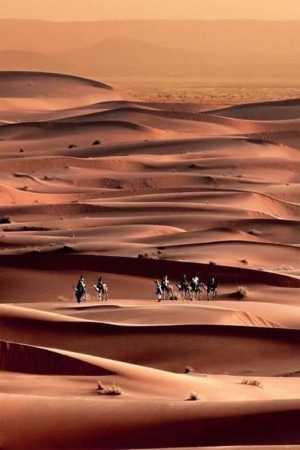 Paysage du Sahara