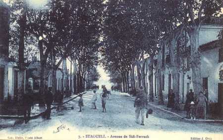 STAOUELI - Avenue de SIDI FERRUCH