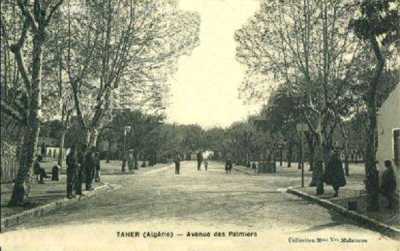 TAHER - Avenue des Palmiers
