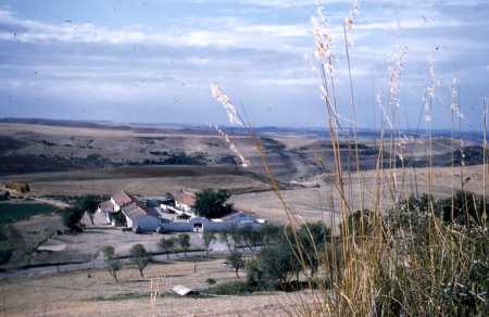 Cimenterie de TIARET