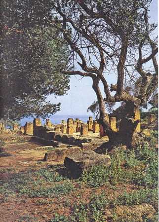 TIPAZA
les ruines Romaines