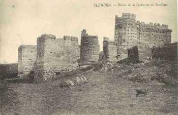 TLEMCEN 
Ruines de la Forteresse de Toubiana