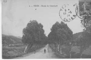 TENES
route de Cherchell