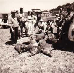 TENES en 1963 / 1964
Chasse aux Sangliers dans le BISSA

Lucien FORCADE
Robert DESSOLIERS
COUGOUREUX (Enseignant)
Basile JONET
des Militaires