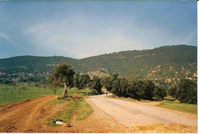 route allant vers les Fermes 
EYSSAUTIER / LONJON
BEAUSSIER / MAZARS