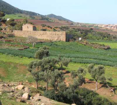  la Ferme MILLOT 
sur la route de Pointe Rouge