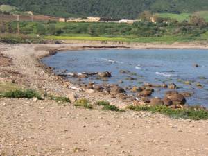 Photo-titre pour cet album: Route de MOSTAGANEM