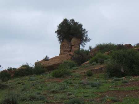 Vestiges du Vieux Palais