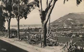 Photo de 1950
----
Magnifique vue de la descente
vers la Plage