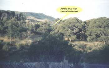 TENES en 1962/1963
----
Jardin du Beylik 
avec ses ruines romaines
ses grands arbres
ses cyclamens
