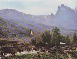Mai 1962 - Quelquepart en Kabylie