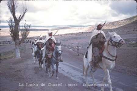  Harka de Charef
