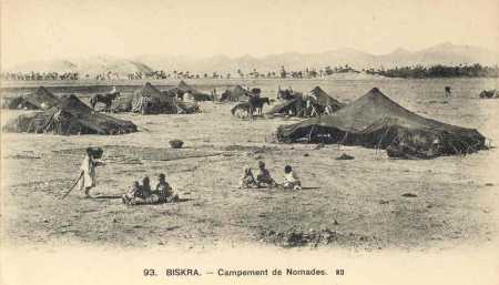 BISKRA - Campement de nomades