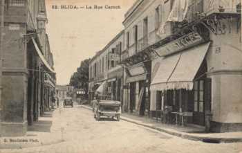 BLIDA - Avenue CARNOT