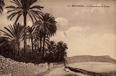 BOU-SAADA - La Palmeraie