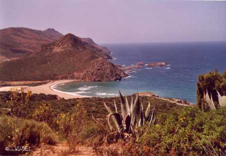 CANASTEL - Plage MADAK